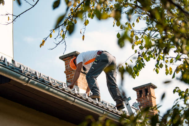 Best Roof Leak Repair  in New Lebanon, OH