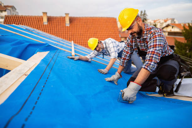 Best Sheet Metal Roofing  in New Lebanon, OH