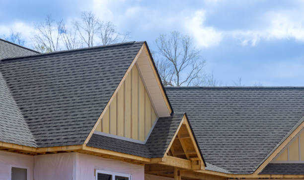 Best Roof Maintenance and Cleaning  in New Lebanon, OH